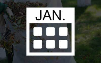 Janvier : que faire au jardin ?