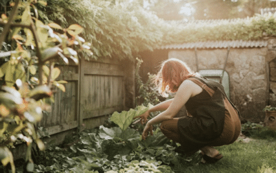 Trucs et astuces Essentiel : le jardin à l&rsquo;automne