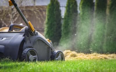 Entretenir votre jardin au printemps