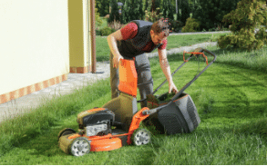 Premiers instants du printemps : Préparez votre jardin dès maintenant