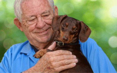 Prendre soin de vous… et de vos animaux domestiques