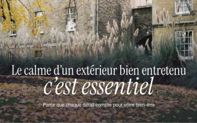 Préparer ses extérieurs pour l’automne en toute sérénité