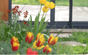 Jardinier autour de moi : comment trouver un professionnel au printemps