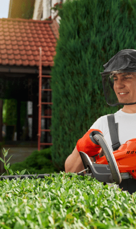 Tonte de pelouse et entretien du jardin à domicile