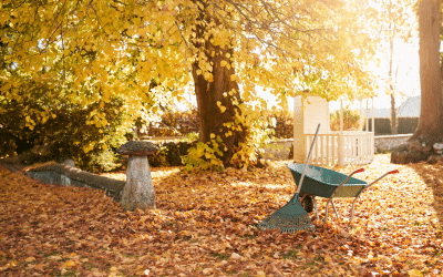 L’automne s’installe : prendre soin de son jardin toute la saison